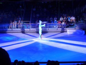 P1010311.jpg